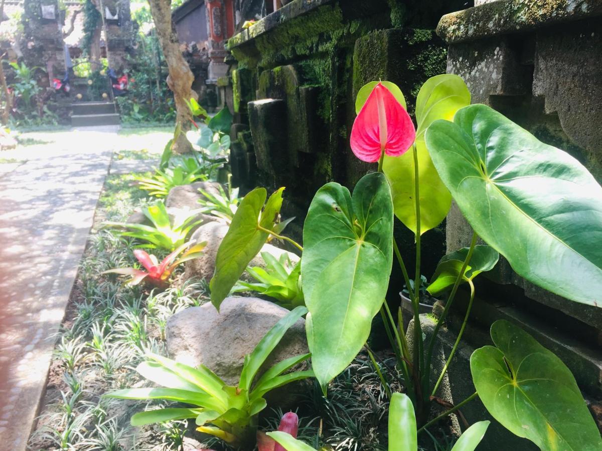 Tungeh Inn Ubud Esterno foto