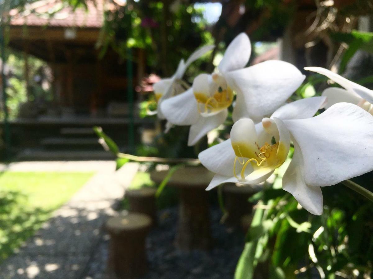 Tungeh Inn Ubud Esterno foto